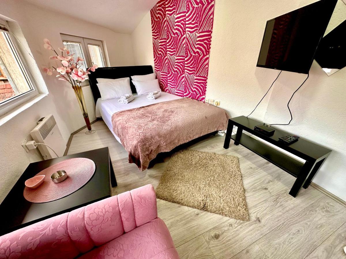 Apartmani Aleksandra U Centru Grada Kragujevac Zewnętrze zdjęcie