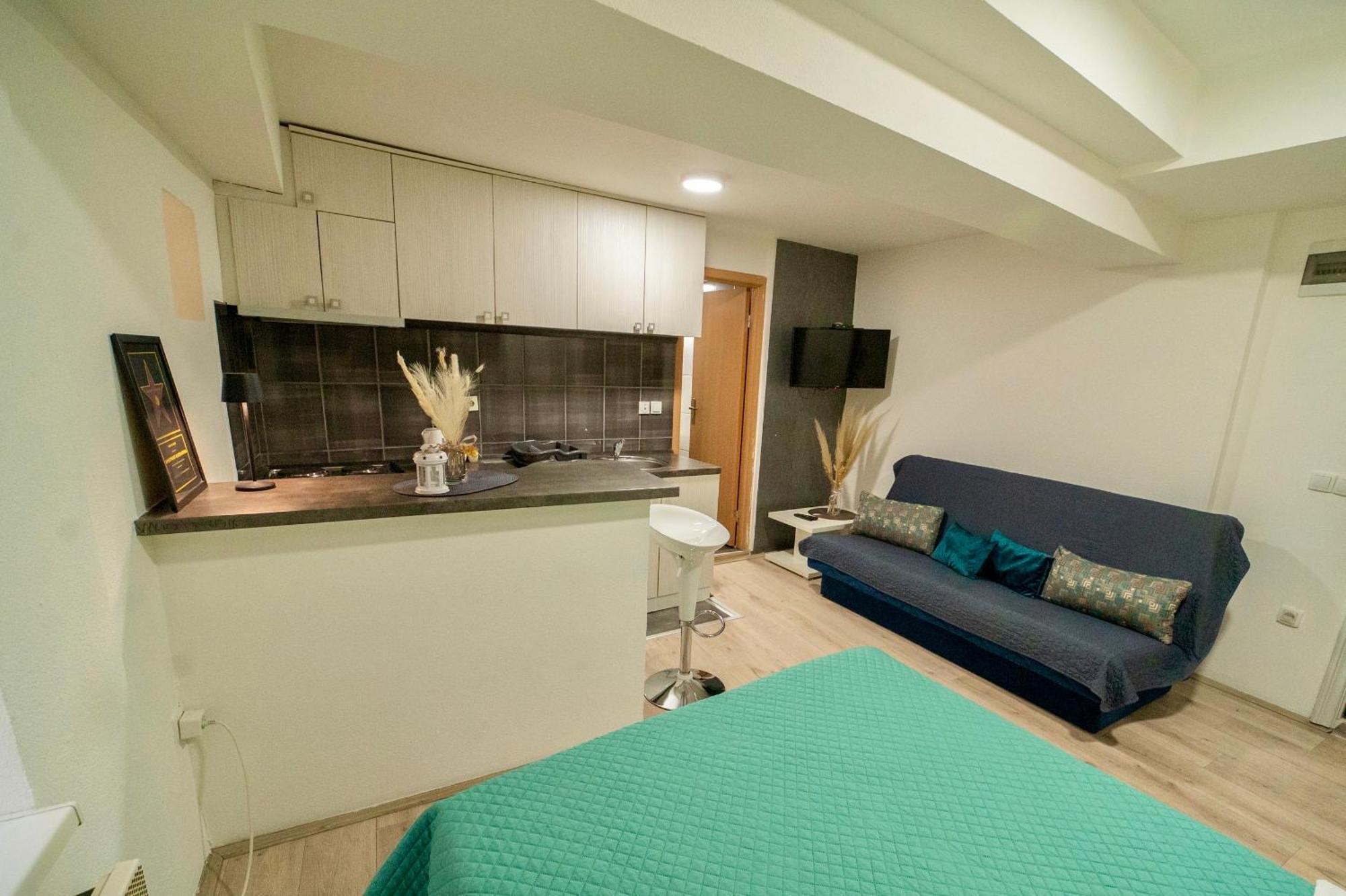 Apartmani Aleksandra U Centru Grada Kragujevac Zewnętrze zdjęcie
